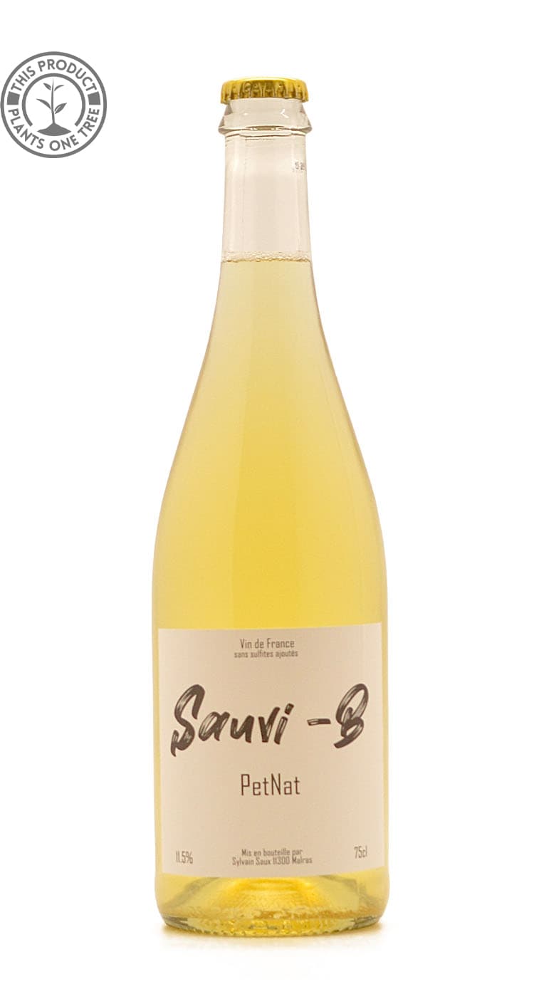 Sauvi B