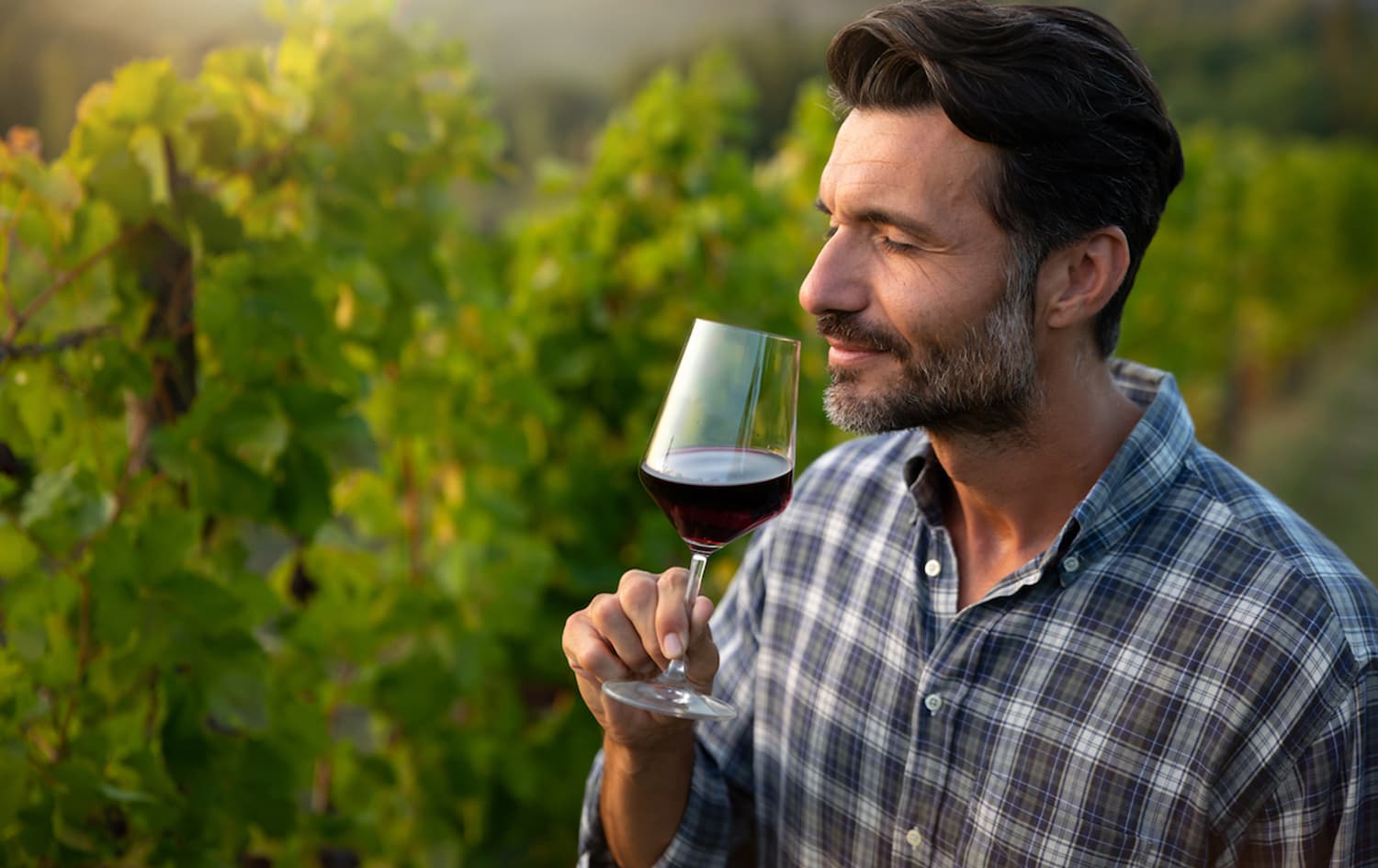natural wine in your diet