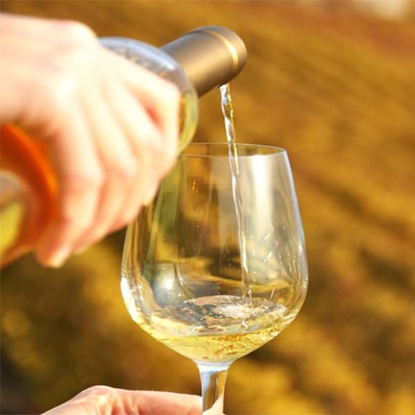 Serving Orange Wine